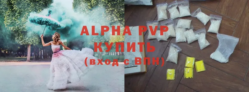 A PVP СК КРИС  Ярославль 